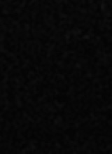 Guest_user12112008