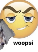 Mrwalkshitdown