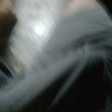 Guest_P4uzud0