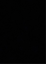 Guest_ellol48