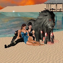 Guest_ACCTOP