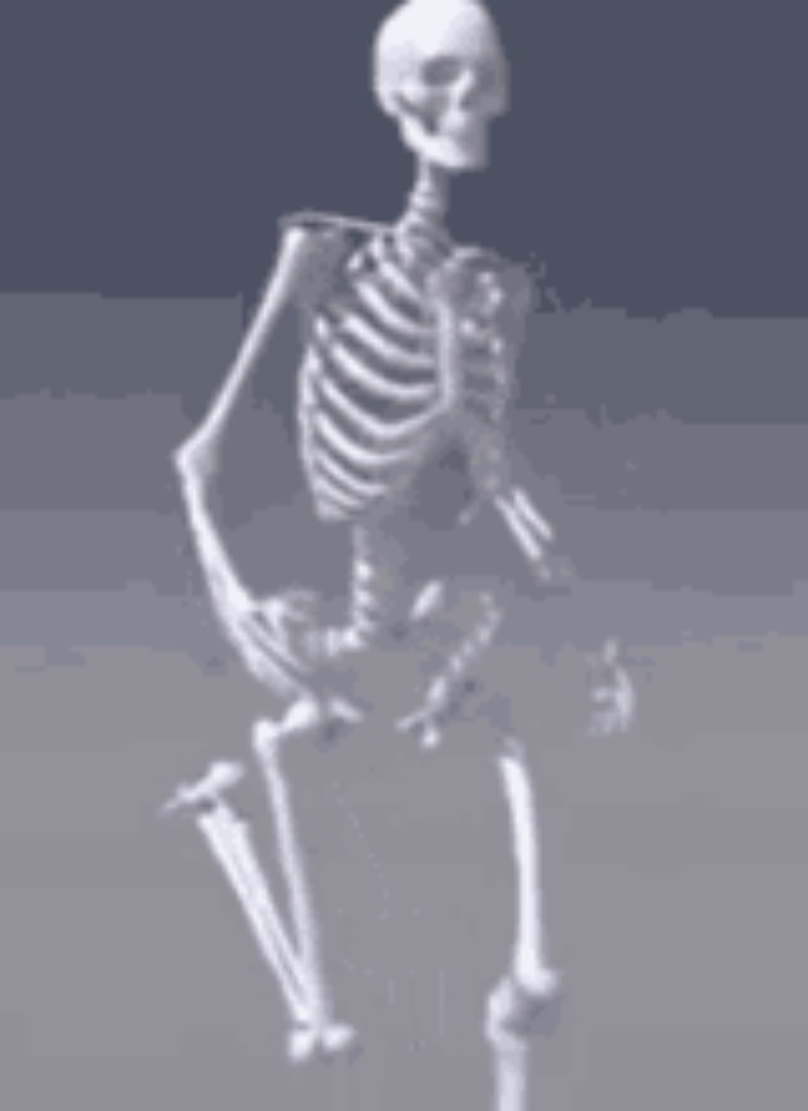SKU11Y