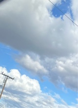 Guest_emallySanchez1