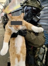 CQB4