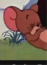 immagine avatar