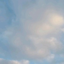 Guest_Exoticuvu