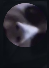Guest_CBKj