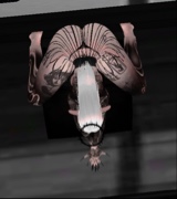 Pupetta3