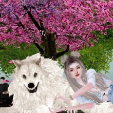 Guest_lvy203736