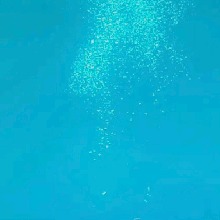 Guest_FeliciaMikuAlexa