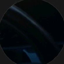 Guest_Lucas257030