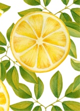 Guest_lifesbetterwlemons