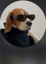 Guest_Allh8l