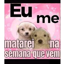 Guest_Gaby470330