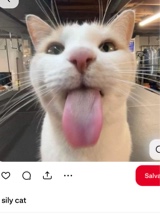 Guest_NomeACaso4