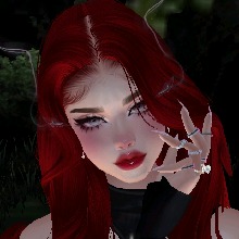 Guest_Kitty247732