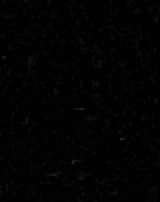 Guest_angalina10