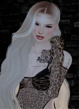 Guest_Duuda123