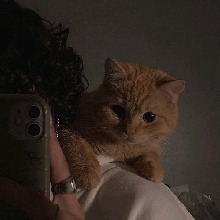 Guest_sadrnavyblueaeaf