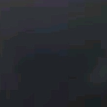 Guest_Carlita919241