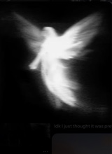 Guest_samantha126681