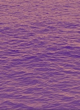 Guest_GraceyBaby2