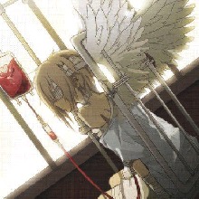 Guest_Nobu19
