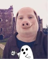 Vrtualwocc