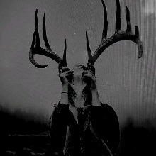 Guest_LilithBwood