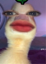 Guest_ShaYoung