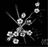 Guest_dreams2547