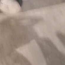 Guest_cloriess