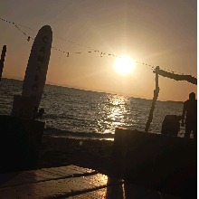 Guest_Joel965084