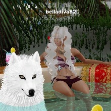 Guest_belladiva7811