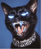 RAYCASA