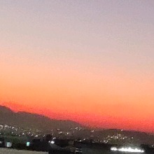 Guest_Sol924558
