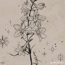 Guest_tai13336