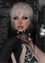 immagine avatar