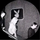 Guest_solidflaxf3ec