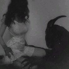 Guest_Erika137754