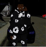 Guest_Jayvon776384