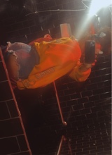 Guest_lightskinbaby02