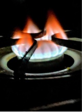 Guest_Brandon212148