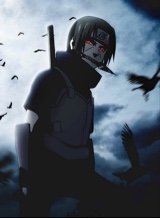 Guest_Puma19