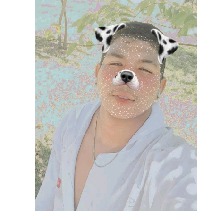 Elvis29