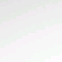 Guest_Alondrita07