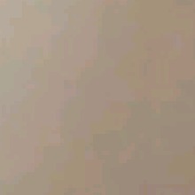 Guest_Kinglinb6