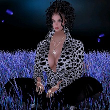 ISANAVY