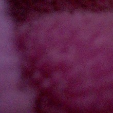 Guest_Jaque941822