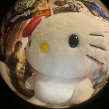 Guest_ascend